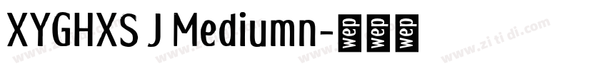 XYGHXS J Mediumn字体转换